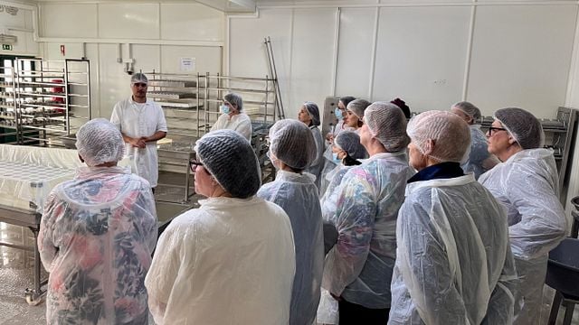 Du vin, pas ? Arrábida : journée complète au départ de Lisbonne