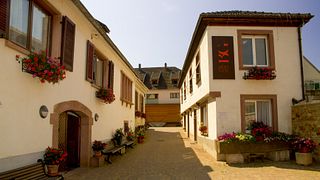 Domaine Bott-Geyl