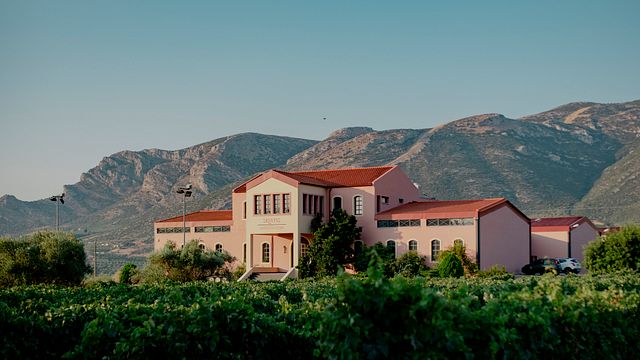 Domaine Skouras Winery