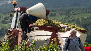 Domaine Charles François & Fils