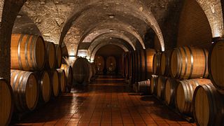 Montalcino : Dégustation de Brunello et de vins gastronomiques dans les coulisses