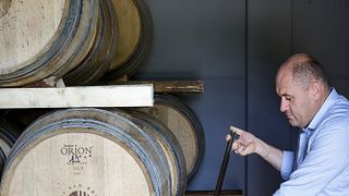 O Workshop Completo de Vinhos no Conti di San Bonifacio