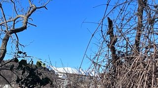 Valpolicella mat- och vinkörningstur: ostfabrik + vingård