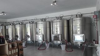 Cata de vinos y visita guiada en Angelini Paolo
