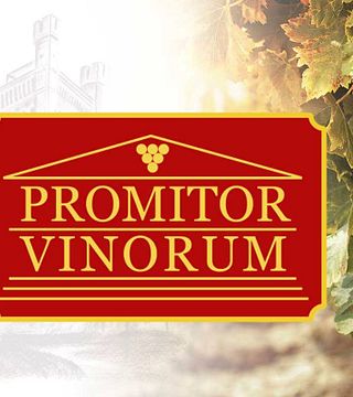 Degustação de Vinhos no Promitor Vinorum