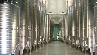 Degustazione di vini e tour alla Grotta Kouroum