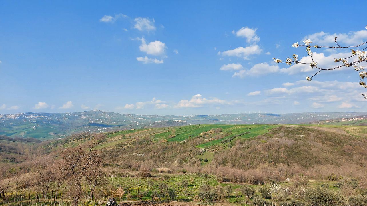 Vino e scoperta verde