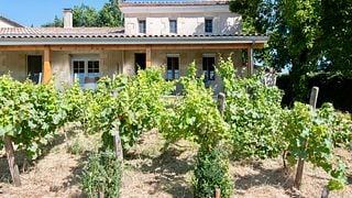 Soggiorno allo Château Maine Gazin
