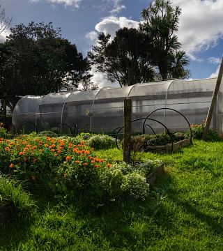Cable Bay Vineyards