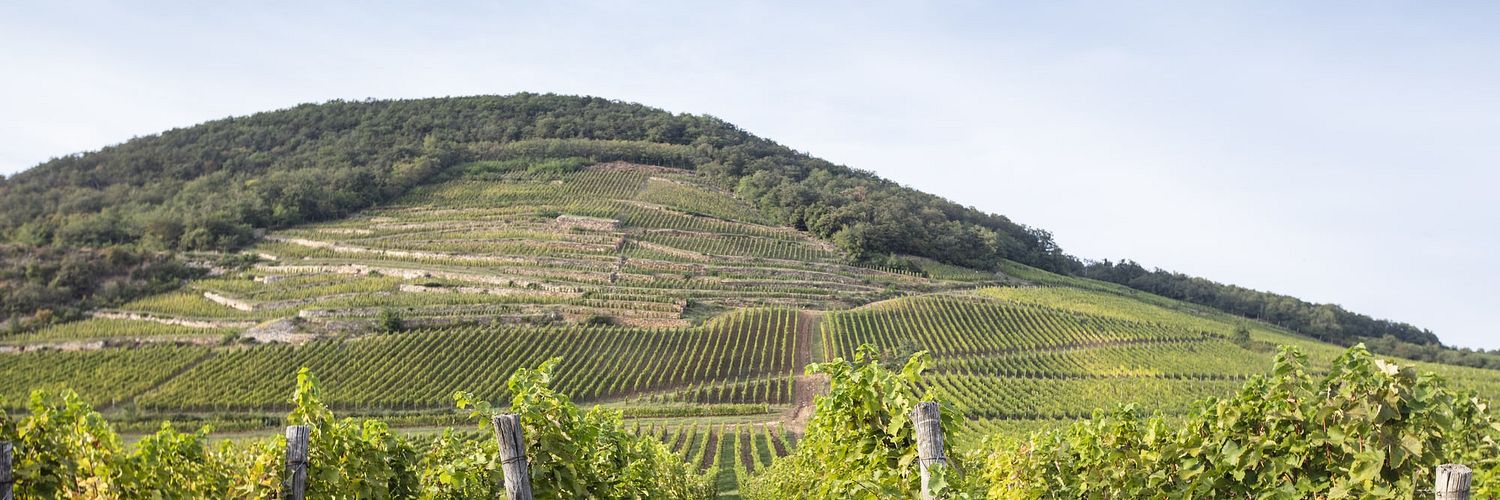 Tokaj