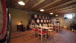 Marche Vineyard Tour & Wine Tasting at Zaccagnini