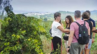 Die Vergangenheit schmecken, die Gegenwart genießen | Weingut Mas Comtal