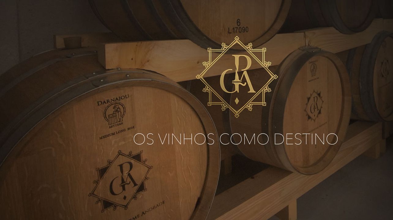 Vinprovningsupplevelse på Pedro Guilherme Andrade