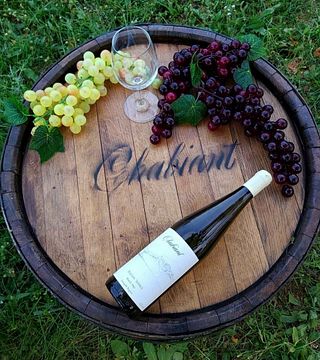 Cata de vinos premium y visita guiada a la bodega Chabiant