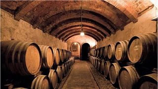 Experiência de vinho Pietrafitta