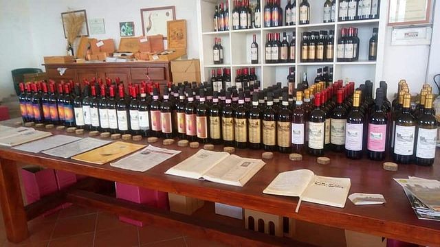 Azienda Agricola Montaioncino