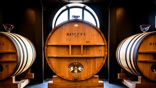 Visita a la bodega y cata Millésime
