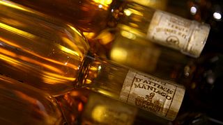 Degustação de vinhos e tour no Conte d'Attimis Maniago