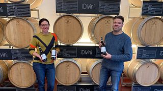 iDivini