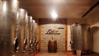 Cata de vinos y visita a la bodega Petrič