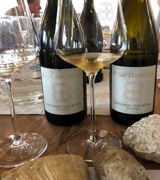 Degustazione di vini nella cantina Birgit Braunstein