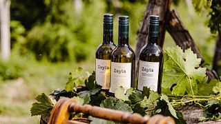 Degustazione di vini Zeyla allo Chateau Copsa