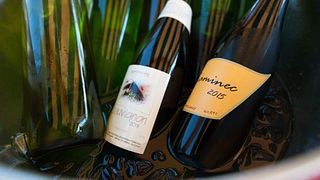 Podravska Wine Journey: Špančeva Zidanica Tasting & Tour