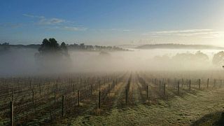 Visita e degustação de vinhos no Winter Brook Vineyard