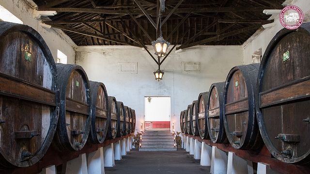 Degustazione di vini e tour popolari a Quinta Do Sanguinhal
