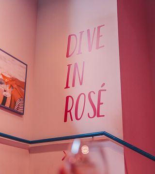 A Arte do Rosé: Uma Exploração Excêntrica no WOW