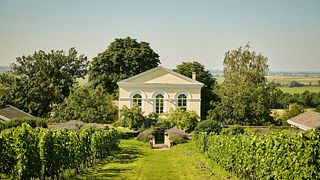 Disznókő Winery