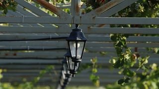 Wine Tasting & Winery Tour at Naberauli Wines