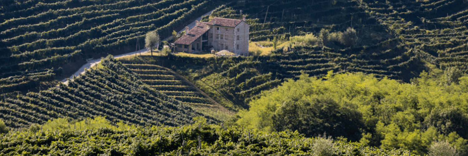 Conegliano And Valdobbiadene
