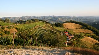 Degustazione di vini e tour a Isolabella Della Croce