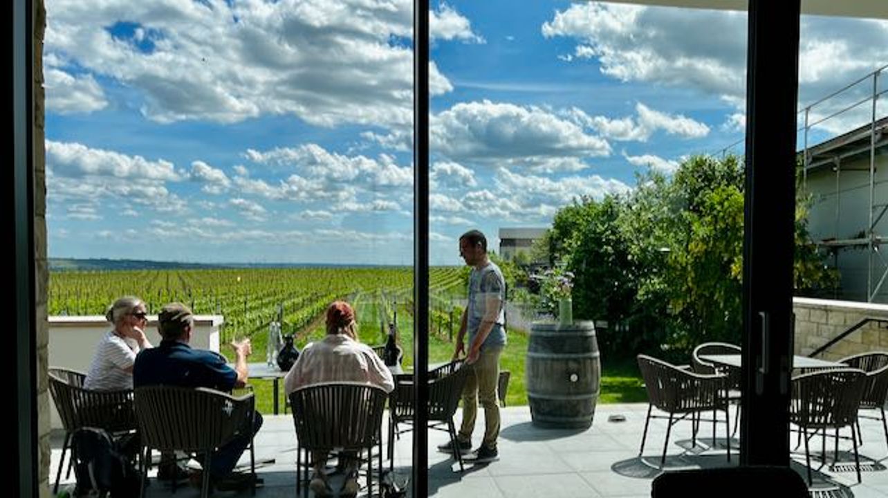 Not Only Riesling - Hills and Vineyards of Rheinhessen