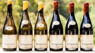 Degustazione di vini e tour presso l'azienda vinicola Polperro