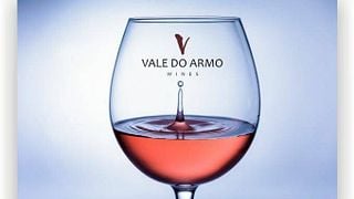 Dégustation de vins de terroir à Quinta Vale do Armo