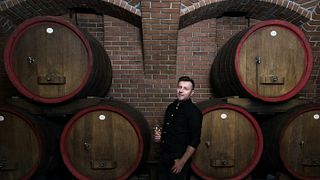 Cata de vinos con aperitivos locales