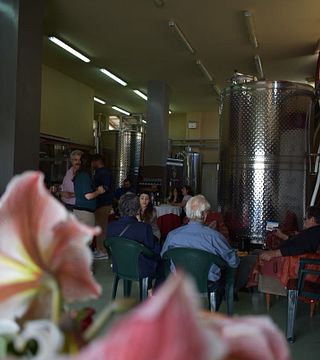 Weinprobe und Tour im Weingut Efrosini