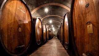 Führung und Verkostung „The Selection“ im Weingut Bersano