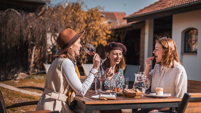 Autentisk vinprovning på Válka Winery