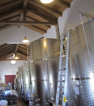Weinprobe und Tour bei Le Cecche