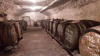 Cata de vinos y visita guiada en Earl Gabriele et Régis Dansault