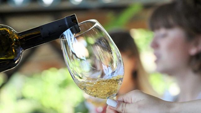 VINOBIZA | Wine Tasting and Tour at Shumi Winery