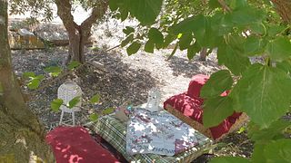 Sicilian Vineyard Picnic & Wine Tour
