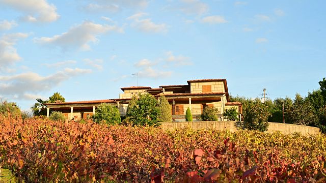 Sapateiro Boutique Winery