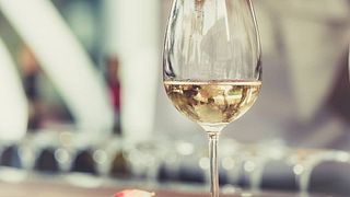 Vinprovning och rundtur på Domaine Yves Boyer Martenot