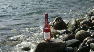 Suriol Winery
