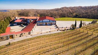Degustazione di vini e tour presso Estate Chrisohoou