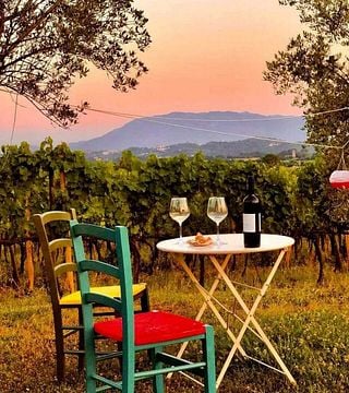 Weintour für Weinliebhaber | Weinprobe und Tour im Pileum